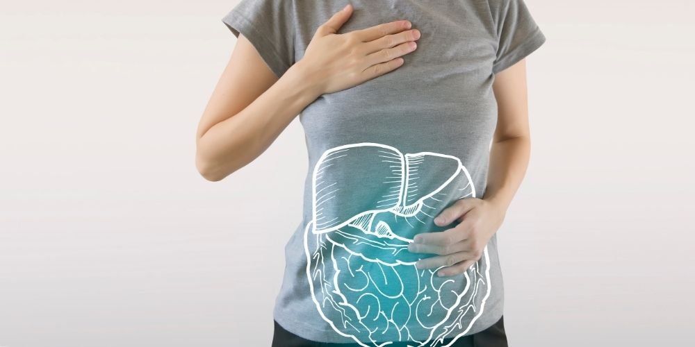 Illustration du système digestif et des organes pour une séance avec une spécialiste en ostéopathie dans le Var.